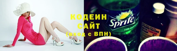 хмурый Арсеньев