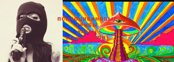 хмурый Арсеньев