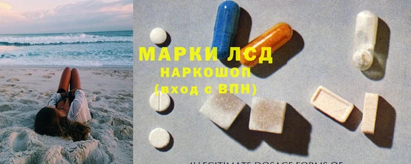 хмурый Арсеньев